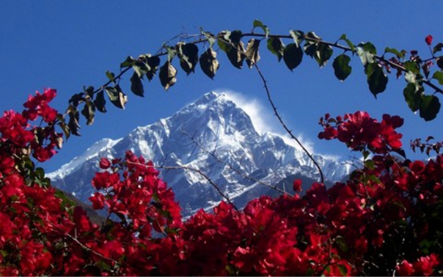 Himalayan Mountain
