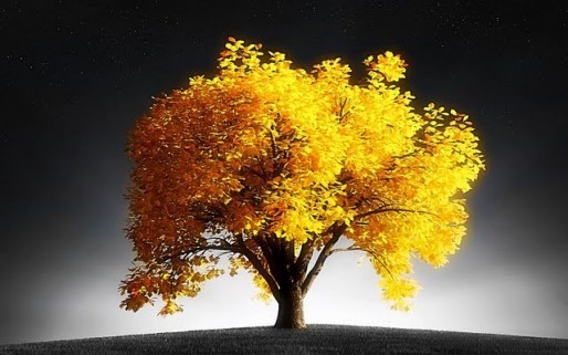Golden Tree